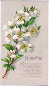 A Victorian Christmas Card with a Spray of Christmas Roses and a Verse, c.1880 by English School