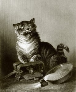 A Catastrophe by English School