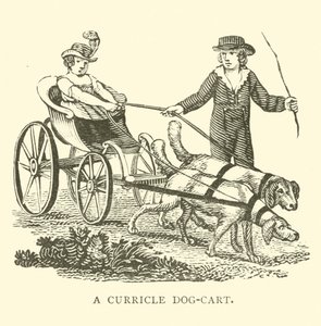 A curricle dog-cart by English School