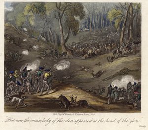 A Deer Hunt