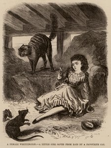 A female Whittington, a little girl saved from rats by a favourite cat by English School