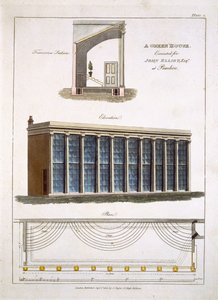 A Greenhouse for John Elliott at Pimlico, London, 1806 by English School
