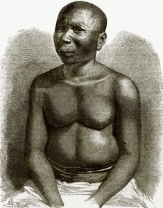A native of Andaman islands by English School