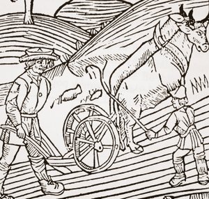 A pair of oxen yoked to a plough, titlepage from John Fitzherberts Boke of Husbandry, first pub. 1523 by English School