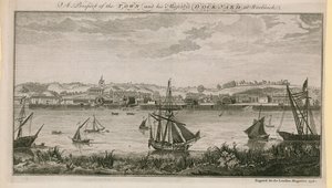 A Prospect of the Town and His Majesty