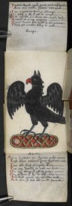Game-book