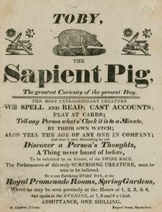 Advert for Toby the Sapient Pig, the greatest curiosity of the present day