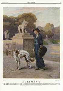 Advertisement for Ellimans Universal Embrocation