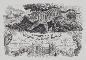Advertisement for J Martin & Co, wholesale and retail furriers, Southampton, Hampshire by English School