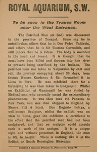 Advertisement for the Petrified Man