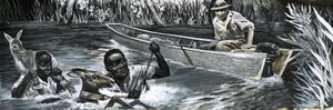 Africans Rescuing Animals