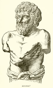 Aesop by English School