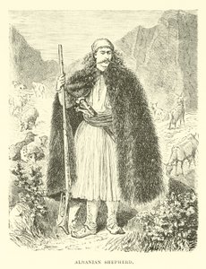 Albanian Shepherd by English School