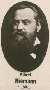 Albert Niemann by English School
