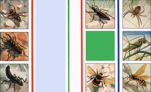 All Sorts of Insects by English School