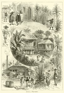 America, West Indies by English School
