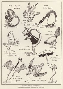 Amusing animals