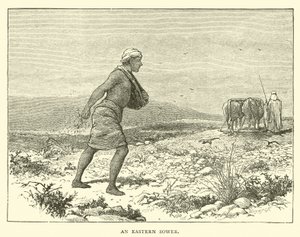 An Eastern Sower by English School