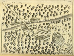 An Iroquois Village, 1703
