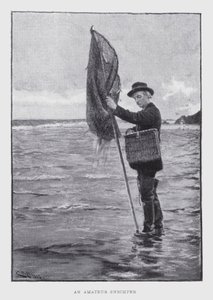 An amateur shrimper by English School
