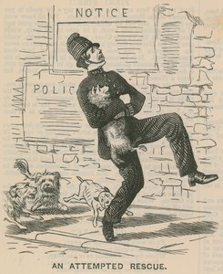 An Attempted Rescue by English School