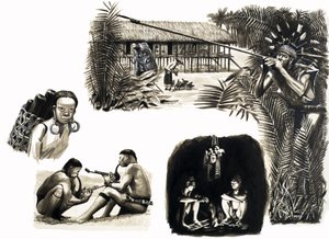 Ancient Peoples of the World: Blowpipe Hunters of Borneo by English School