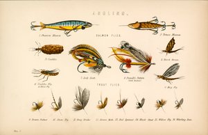Angling