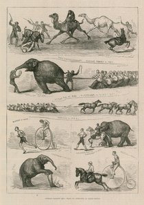 Animals Against Men: Feats of Strength at Lillie Bridge by English School
