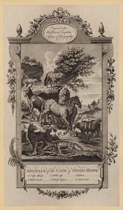 Animals of the Cape of Good-Hope