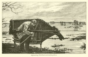 Approaching Wild Duck with Stalking-Horse by English School