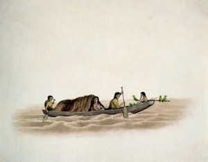 Arawaka Indian-Demerara