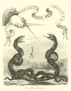 Ariosto