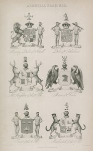 Armorial Bearings by English School