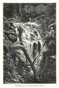 Australia: Waterfall in the Black Spur