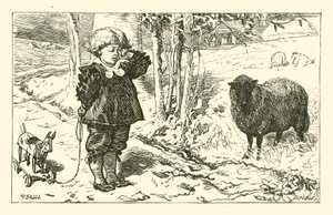 Baa, Baa, Black Sheep by English School