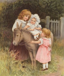 Baby Having a Ride on a Donkey