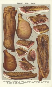 Bacon and ham by English School