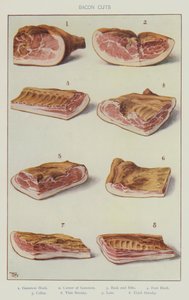 Bacon cuts by English School