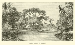 Bamboo Bridge in Borneo