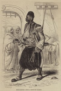 Bashi-Bazouk by English School
