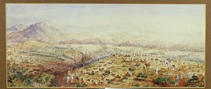 Battle of Tamai, Sudan 1884 by English School