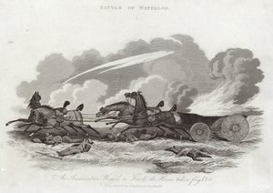 Battle of Waterloo by English School