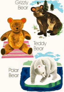 Bears by English School