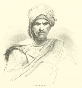 Bedouin of Sinai by English School
