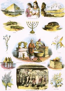 Biblical Illustrations by English School