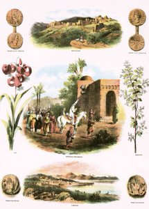 Biblical Illustrations by English School