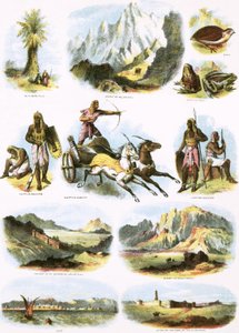Biblical Illustrations by English School