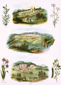 Biblical Illustrations