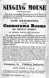 Bill Poster for The Singing Mouse exhibition at the Cosmorama Rooms, 209 Regent Street, c. 1836 by English School