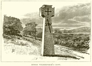 Bishop Wilberforce